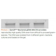 GenUP™ Bacteria gDNA Kit