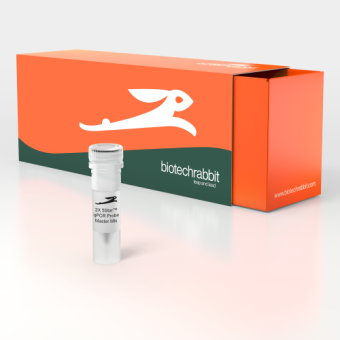 2X 5Star™ qPCR Probe Master Mix