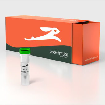 2X Green PCR Master Mix Direct-Load