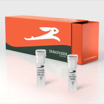 2X YourTaq™ Hot-Start PCR Master Mix, lyophilized