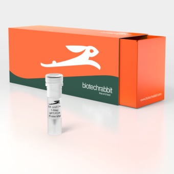 5X UniFi™ 1-Step qRT-PCR Probe Master Mix