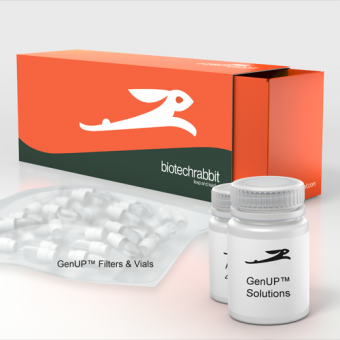 GenUP™ Blood DNA Kit