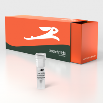 Heat Labile Uracil-DNA Glycosylase, 1 U/µl