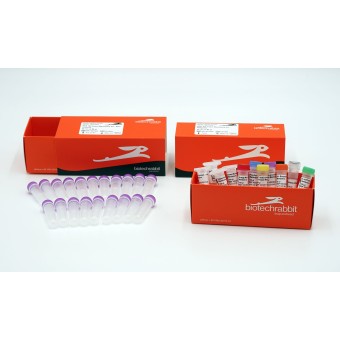 RTS 100 Insect Membrane Kit – 20 reactions of 50 µl
