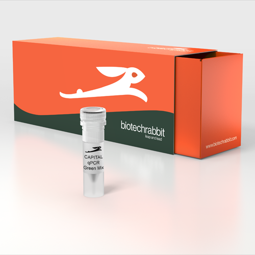 biotechrabbit | 4X CAPITAL™ qPCR Green Master Mix - CAPITAL qPCR