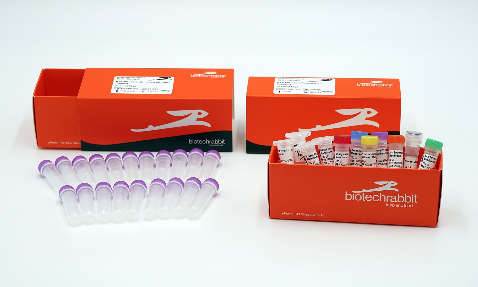 ファッションデザイナー Insect 100 RTS | biotechrabbit Membrane lead and leap | Kit スタイリング剤
