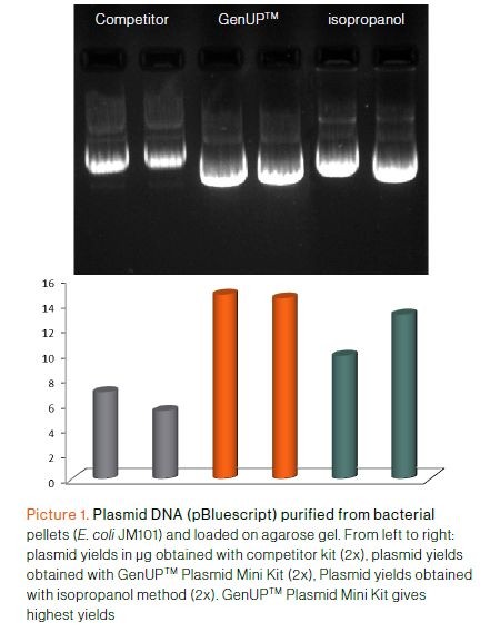 biotechrabbit | GenUP™ Plasmid Kit - Plasmid Isolation - Nucleic Acid ...