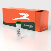 2X YourTaq™ PCR Master Mix Direct-Load