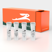 ExactiFi™ Hot-Start DNA Polymerase, 1 U/µl