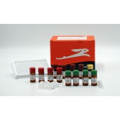 RTS 100 E. coli HY Kit