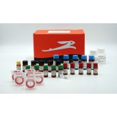 RTS 500 ProteoMaster E. coli HY Kit