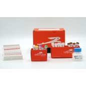 RTS 100 E. coli Disulfide Kit