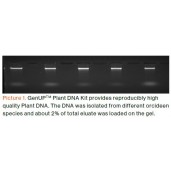 GenUP™ Plant DNA Kit