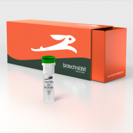 2X YourTaq™ PCR Master Mix Direct-Load