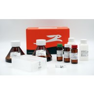 RTS 9000 E. coli HY Kit – 1 reaction of 10 ml