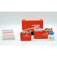 RTS 100 E. coli Disulfide Kit – 24 reactions of 50 µl