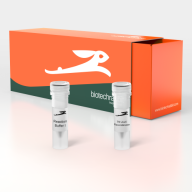 LYO-ready T6 UvsX DNA Recombinase, 5 mg/ml