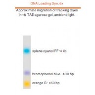 DNA Loading Dye, 6x