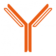 Monoclonal antibody production