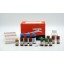  RTS 100 Wheat Germ CECF Kit – 24 reactions of 50 µl