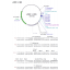 RTS pIVEX Wheat Germ His6-tag Vector Set